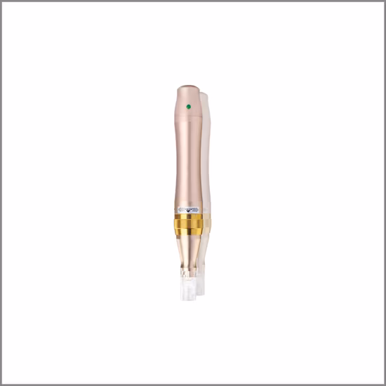 2017 Newest Rechargeable Skin Repair 12, 36 Pin Needles Derma Pen