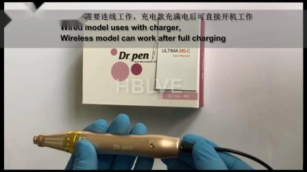 Fabricant électrique Dr Pen Auto Micro aiguille système de thérapie A1 Derma Pen